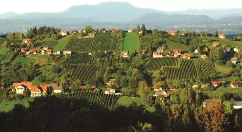 Отель Stainzerhof