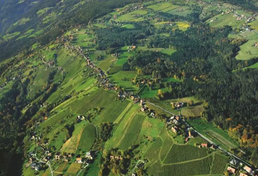 Отель Stainzerhof