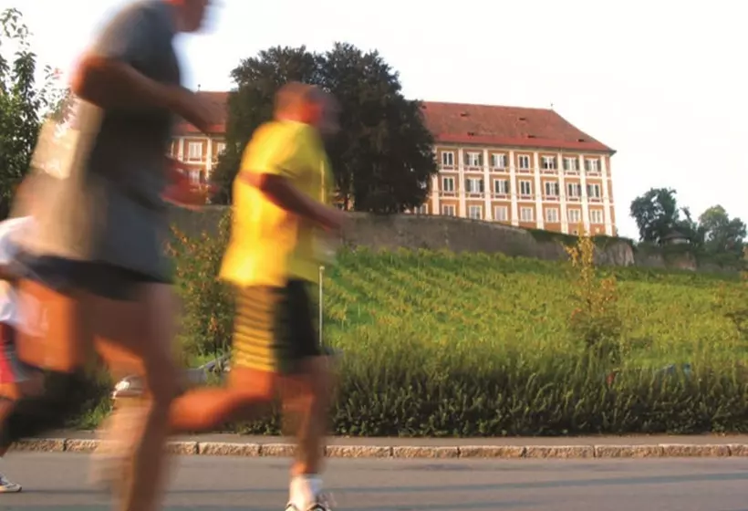 Отель Stainzerhof