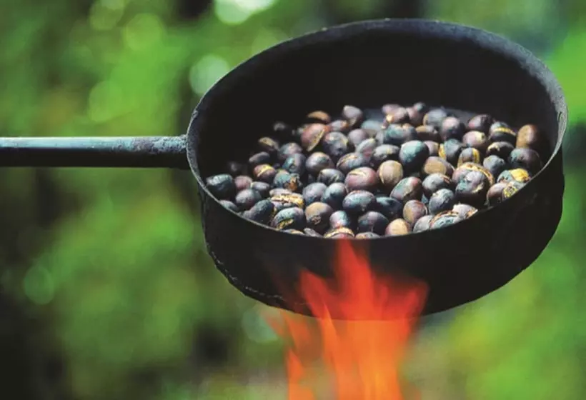 Отель Stainzerhof