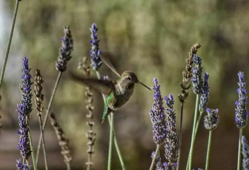 酒店 Wharf Master's Inn