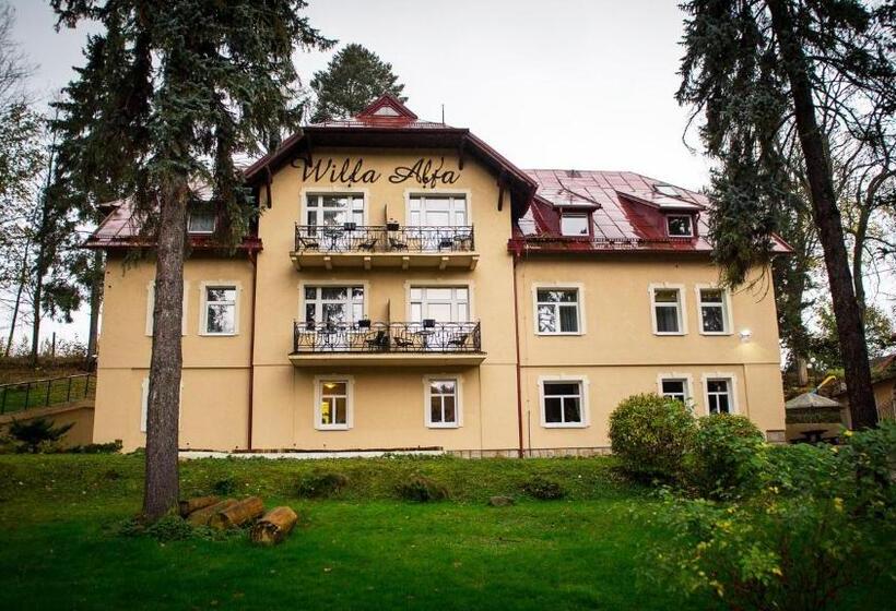 فندق Willa Alfa