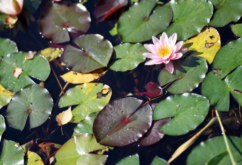 Пансион Perbersdorfer Heuriger