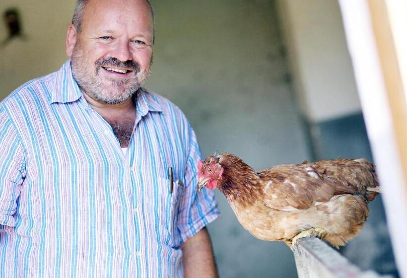 Пансион Perbersdorfer Heuriger