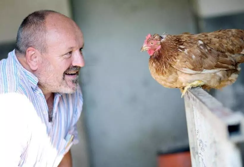 ペンション Perbersdorfer Heuriger