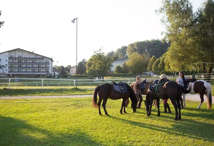 ホテル Reitzentrum Hausruckhof