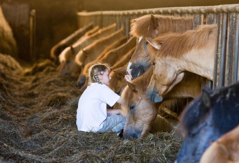 ホテル Reitzentrum Hausruckhof