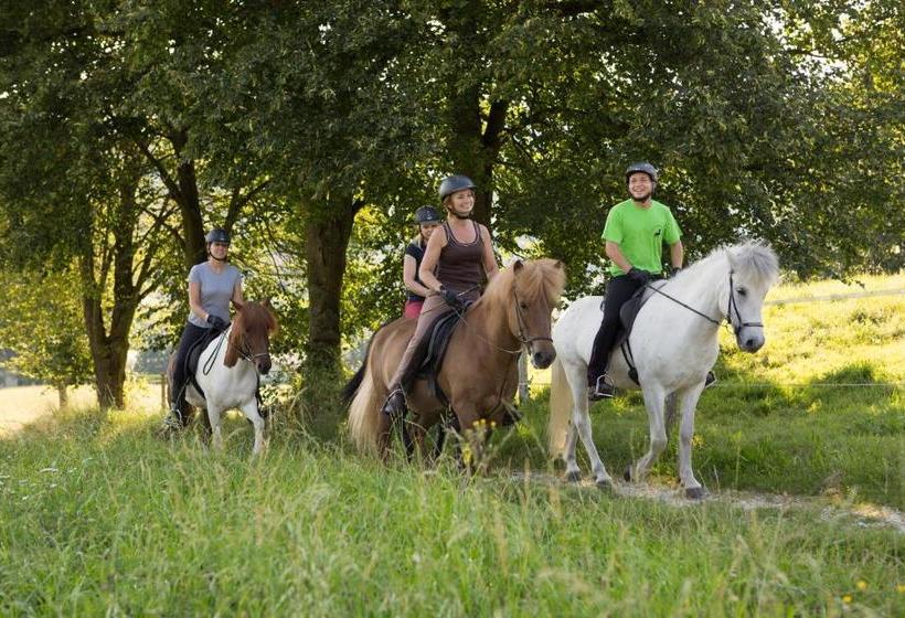 ホテル Reitzentrum Hausruckhof