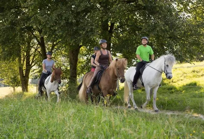 ホテル Reitzentrum Hausruckhof