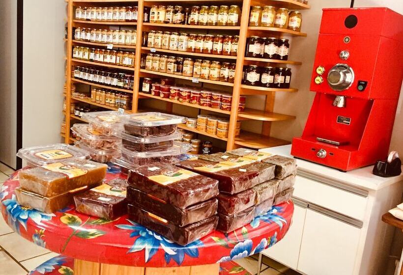 酒店 Novo Horizonte   By Up