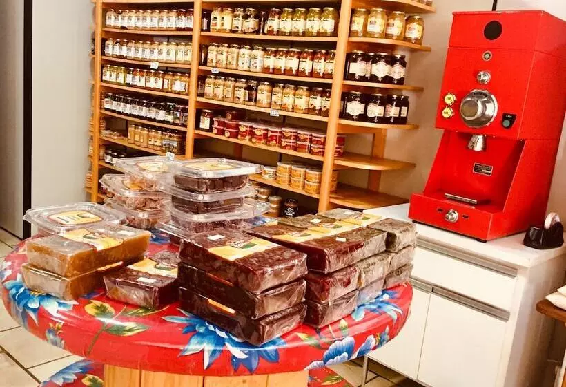 Hotelli Novo Horizonte   By Up