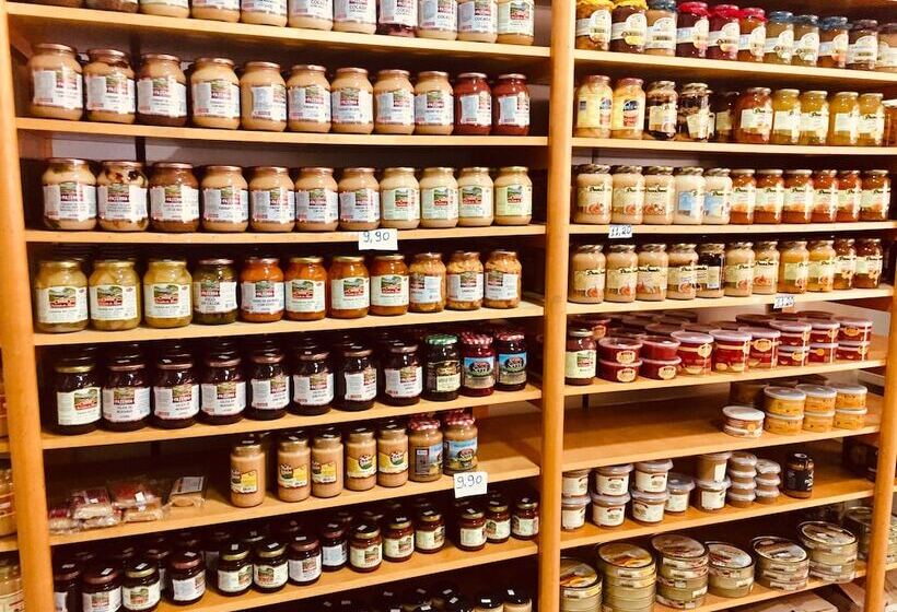 酒店 Novo Horizonte   By Up