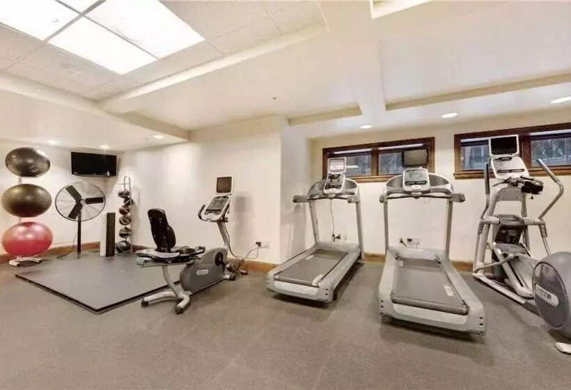 Luxury Ski In, Ski Out 2 Bedroom Mountain Residence In The Heart Of Lionshead Village With Heated Sl