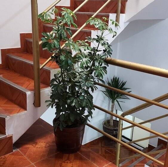 Bed and Breakfast Rabaal