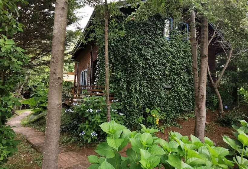 Cabana Pudomo En Conaripe Con Hot Tub Exclusivo