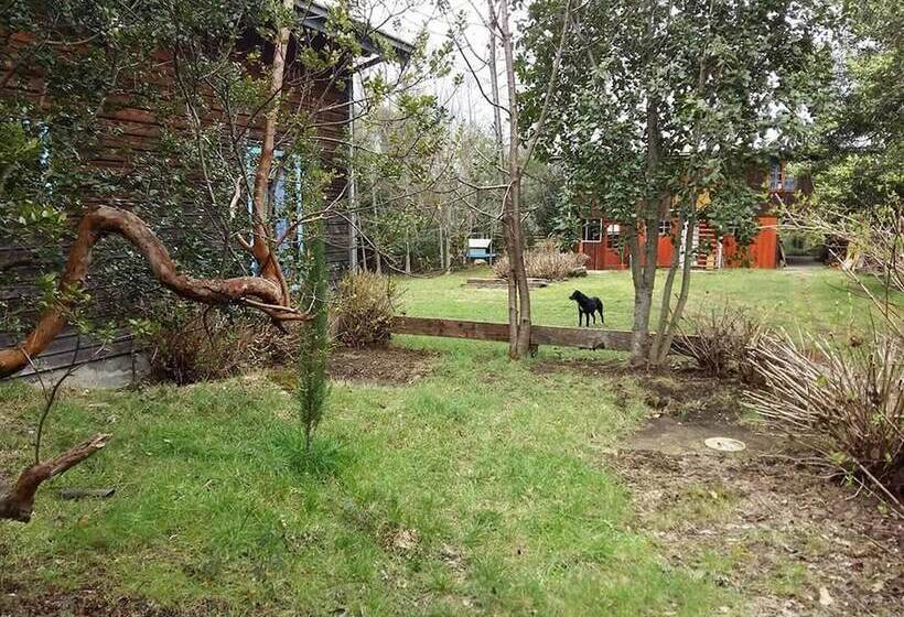 Cabana Pudomo En Conaripe Con Hot Tub Exclusivo