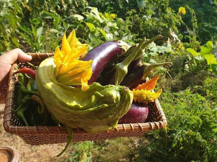 Chez Rumi Butik Otel