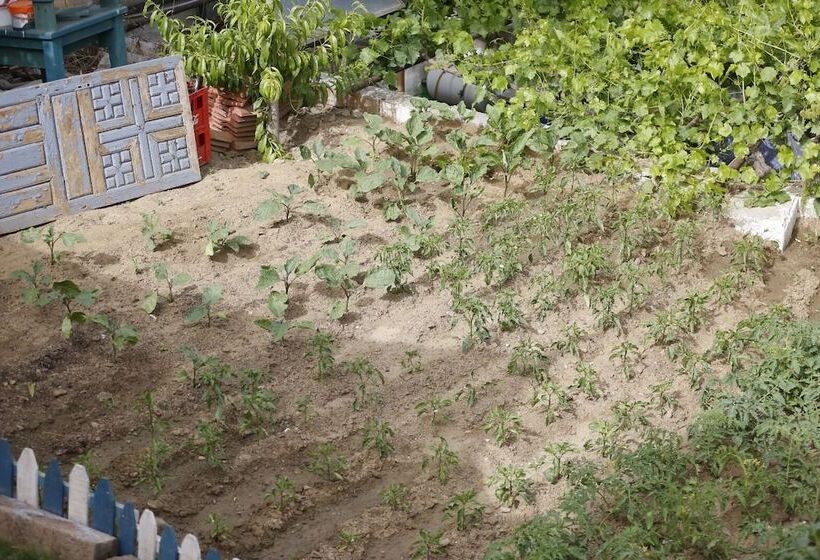 Chez Rumi Butik Otel