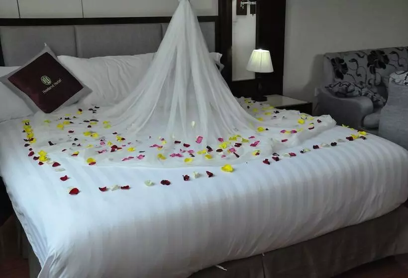Homland Hotel Bahirdar