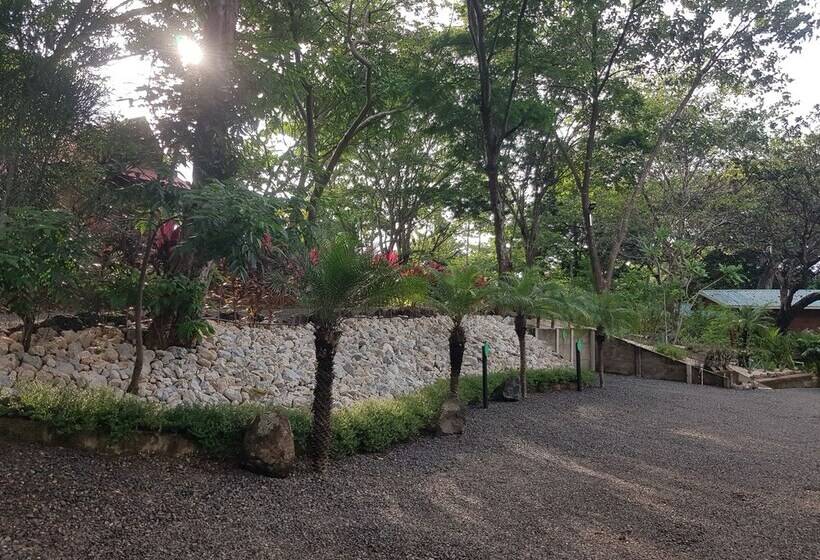 ホテル Baliyana Lodge