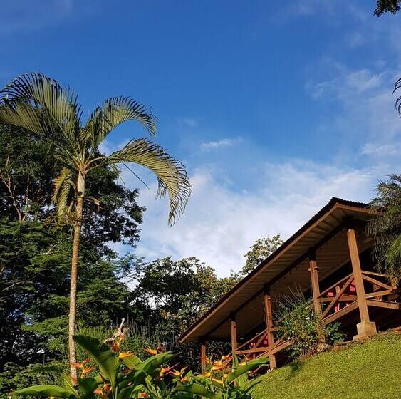 ホテル Baliyana Lodge