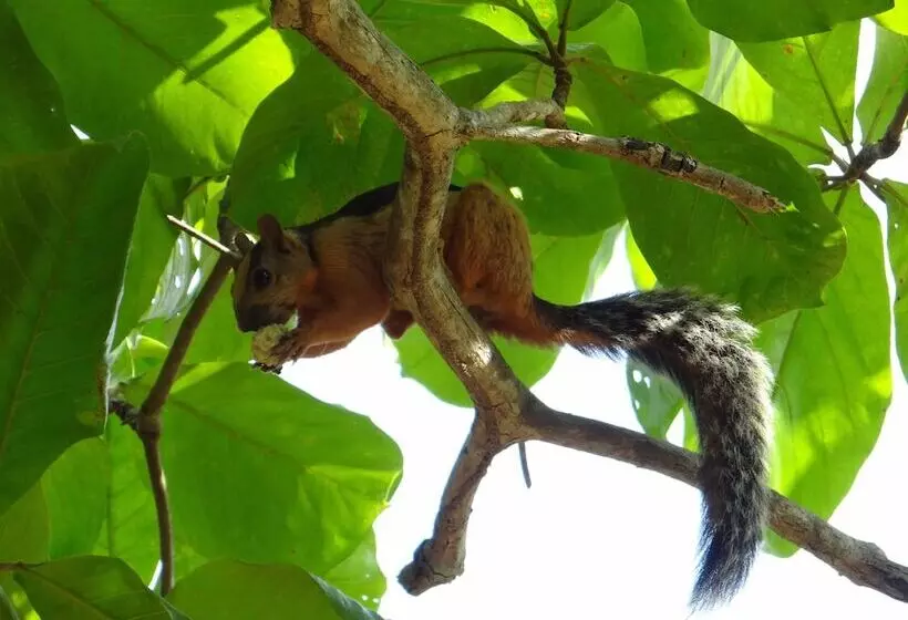 Hotelli Baliyana Lodge