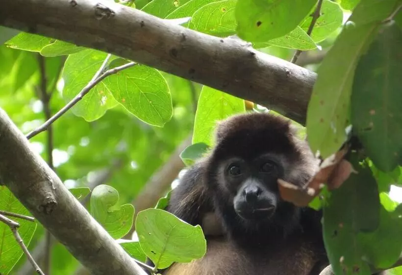 Hotelli Baliyana Lodge