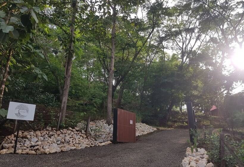 ホテル Baliyana Lodge