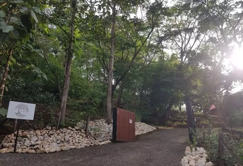 Hotelli Baliyana Lodge