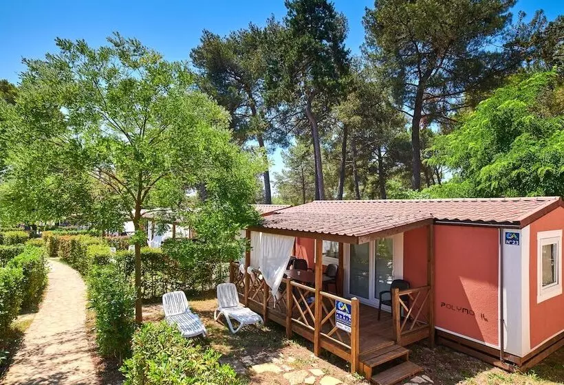 ホテル Camping Adria Mobile Homes Lanterna