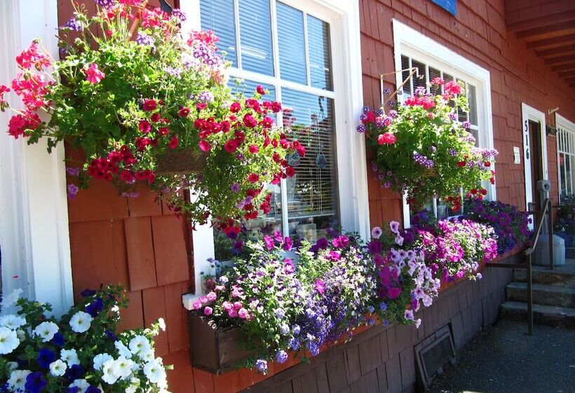 酒店 Rain Forest Resort Village