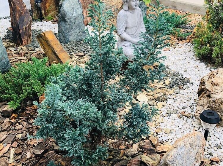 Otel San Miguel Antique