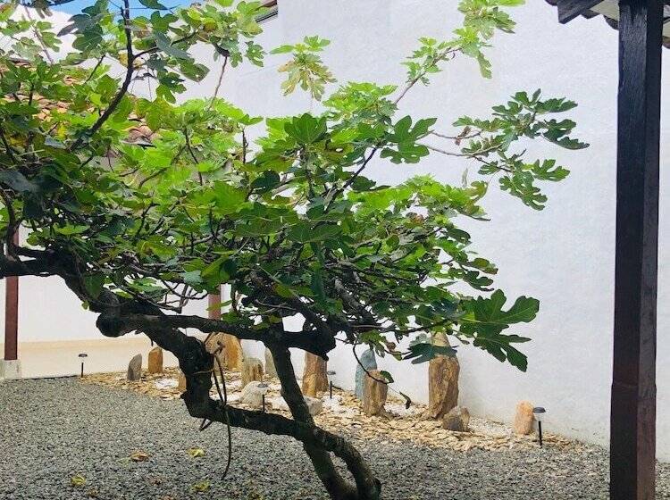 Otel San Miguel Antique