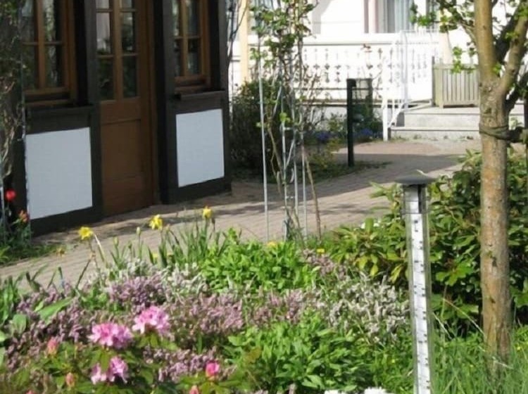 Kur  Und Wellness Hotel Mönchgut