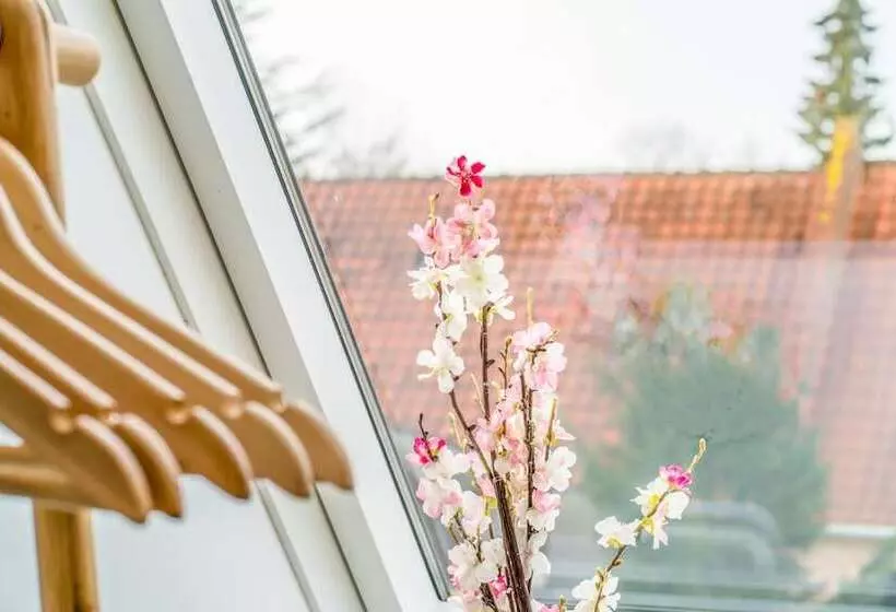 ペンション Kefs Guesthouse & Café