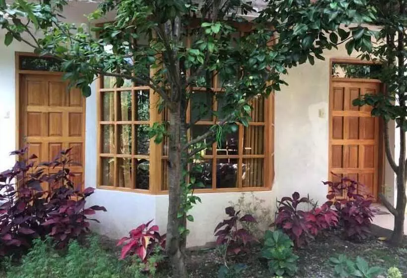 پانسیون Yucay Lodge