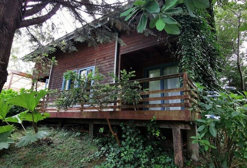 Cabana Pudomo En Conaripe Con Hot Tub Exclusivo