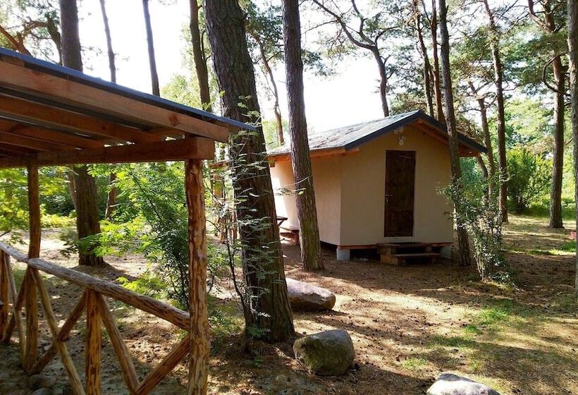 استراحتگاه Kurshale