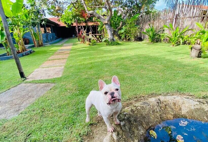 هتل Pousada Ricatins