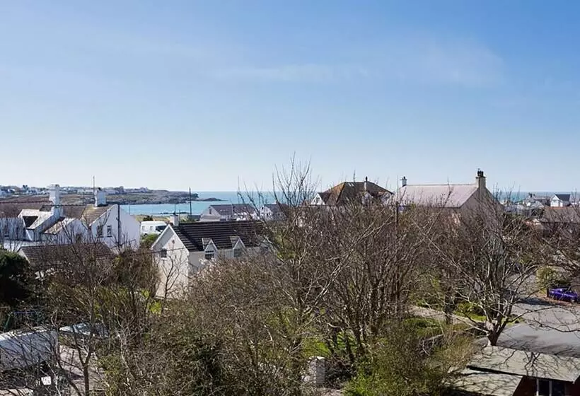 Bryn Dale