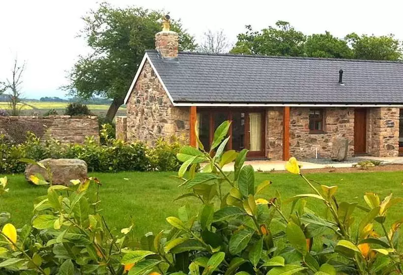 Clynnog Cottage