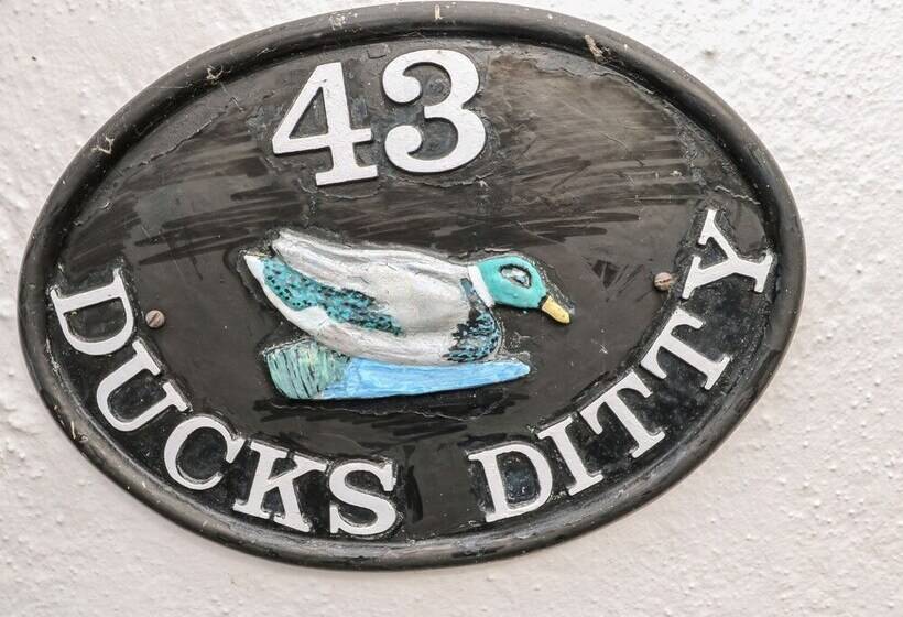 Ducks Ditty