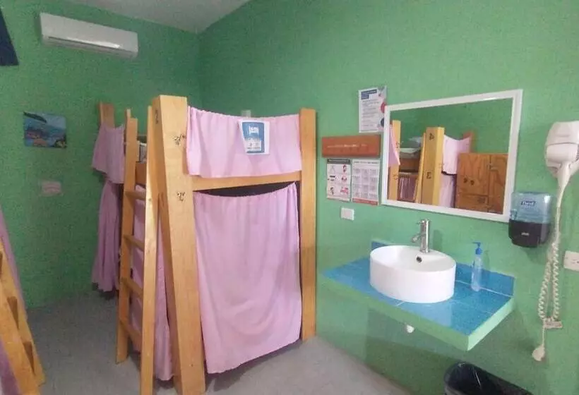 Blue Magic Hostel