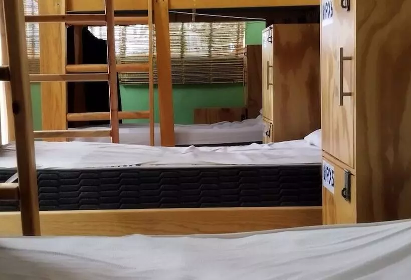 Blue Magic Hostel