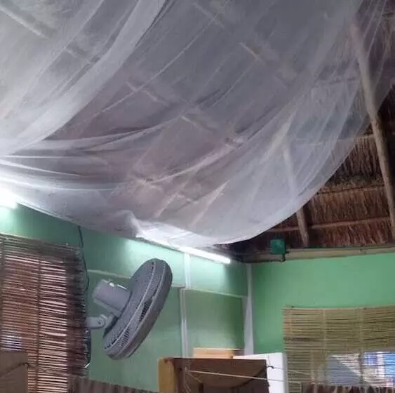 Blue Magic Hostel