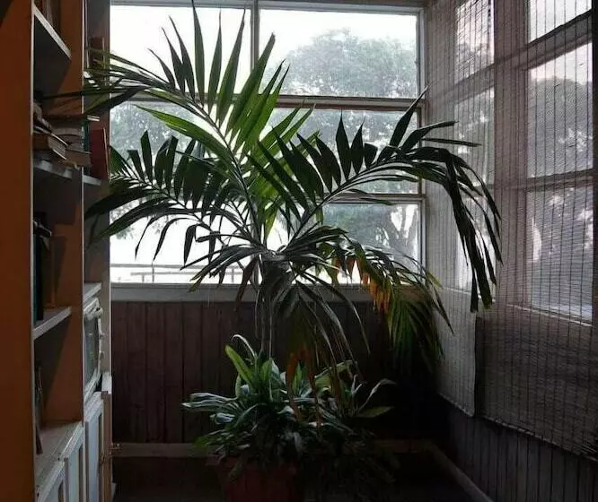 Hostelli Punta Descartes