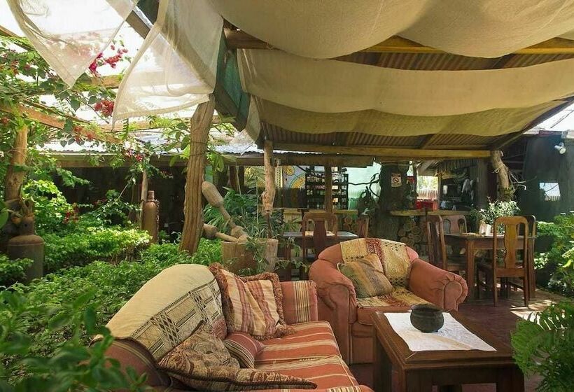 여관 Punta Descartes