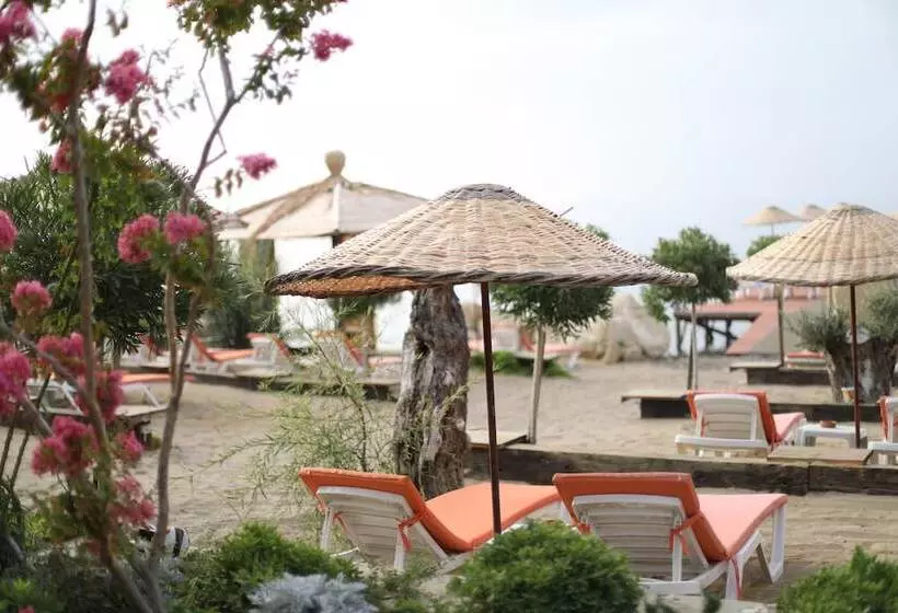 ホテル Antique Beach And Bungalow