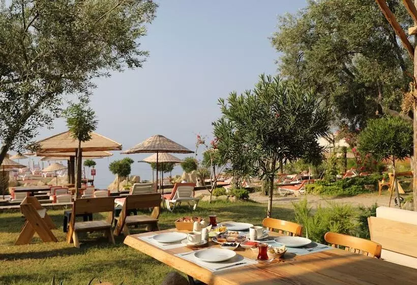 ホテル Antique Beach And Bungalow