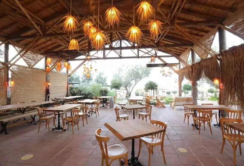 ホテル Antique Beach And Bungalow